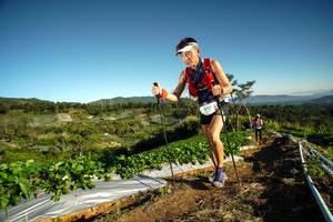 BIB: 9717
                            <button type="button" onclick="openModal(19117479)" class="btn btn-primary btn-sm float-right btn-popup" data-toggle="modal" data-target=".modal-high-quality">
                        <i class="fas fa-shopping-cart"></i> Add to Cart
                    </button>
                                            <button type="button" onclick="isThisMe(19117479, true)" class="btn btn-success btn-sm float-right btn-popup btn-isme hidden" data-toggle="tooltip" data-placement="bottom" title="นี่คือรูปของคุณใช่ไหม คลิกที่นี่เพื่อเอาเข้าอัลบั้ม">
                        <i class="fas fa-plus"></i> Add to album
                    </button>
                    <button type="button" onclick="isThisMe(19117479, false)" class="btn btn-warning btn-sm float-right btn-popup btn-isnotme hidden">
                        <i class="fas fa-ban"></i> Remove from album
                    </button>